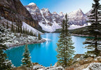 Mount Rainier National Park 1000-Piece Jigsaw Puzzle