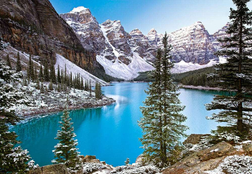 Mount Rainier National Park 1000-Piece Jigsaw Puzzle