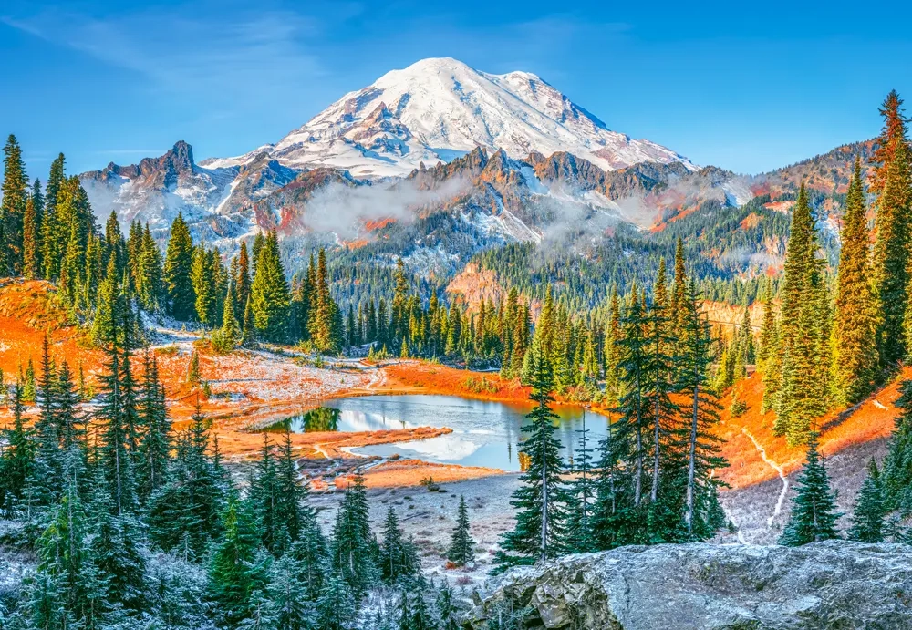 Mount Rainier National Park - 1000 Piece Jigsaw Puzzle