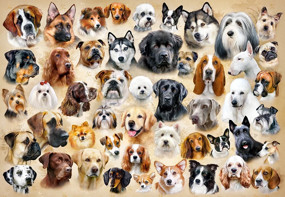 Collage with Dogs – 1500 Piece Puzzle for Adults