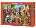 House of Cats – 2000 Piece Adult Jigsaw Puzzle
