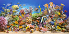 Underwater Life – 4000 Piece Puzzle for Adults