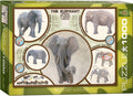Animal Charts The Elephant - 1000 Piece Jigsaw Puzzle