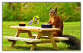 Squirrel Having Picnic Lunch - 66 Piece Wooden Jigsaw Puzzle