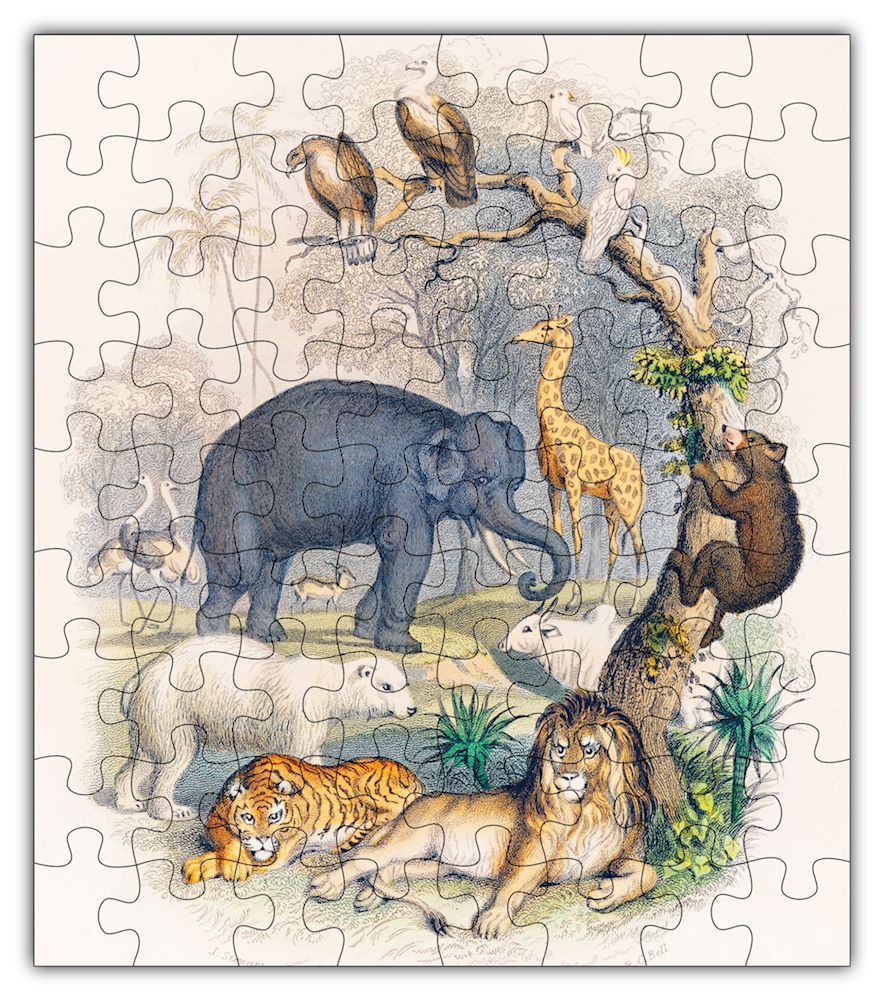 Zoo Animals - 72 Piece Wooden Jigsaw Puzzle