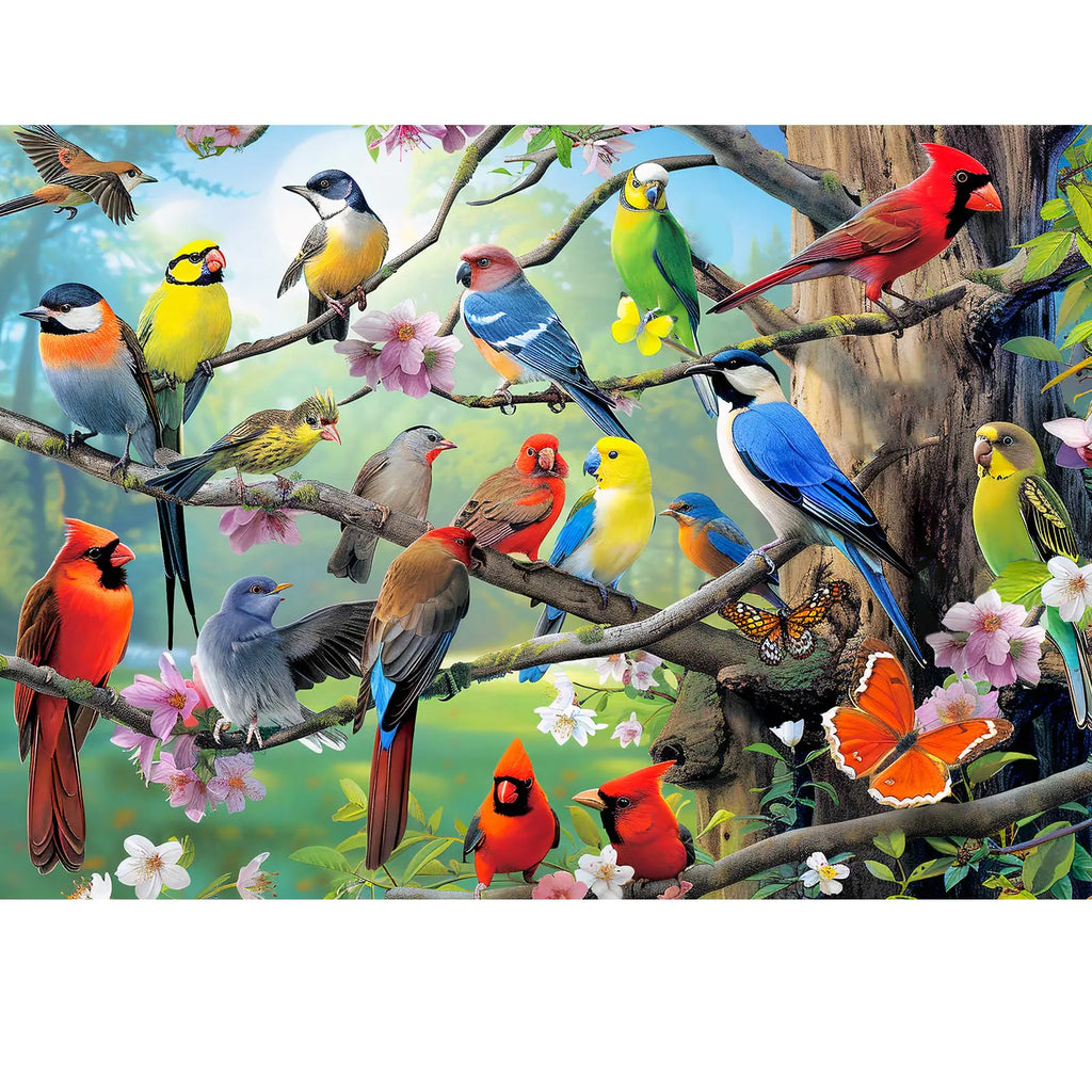 Colorful Owls – 500 Piece Puzzle for Families