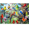 Colorful Owls – 500 Piece Puzzle for Families