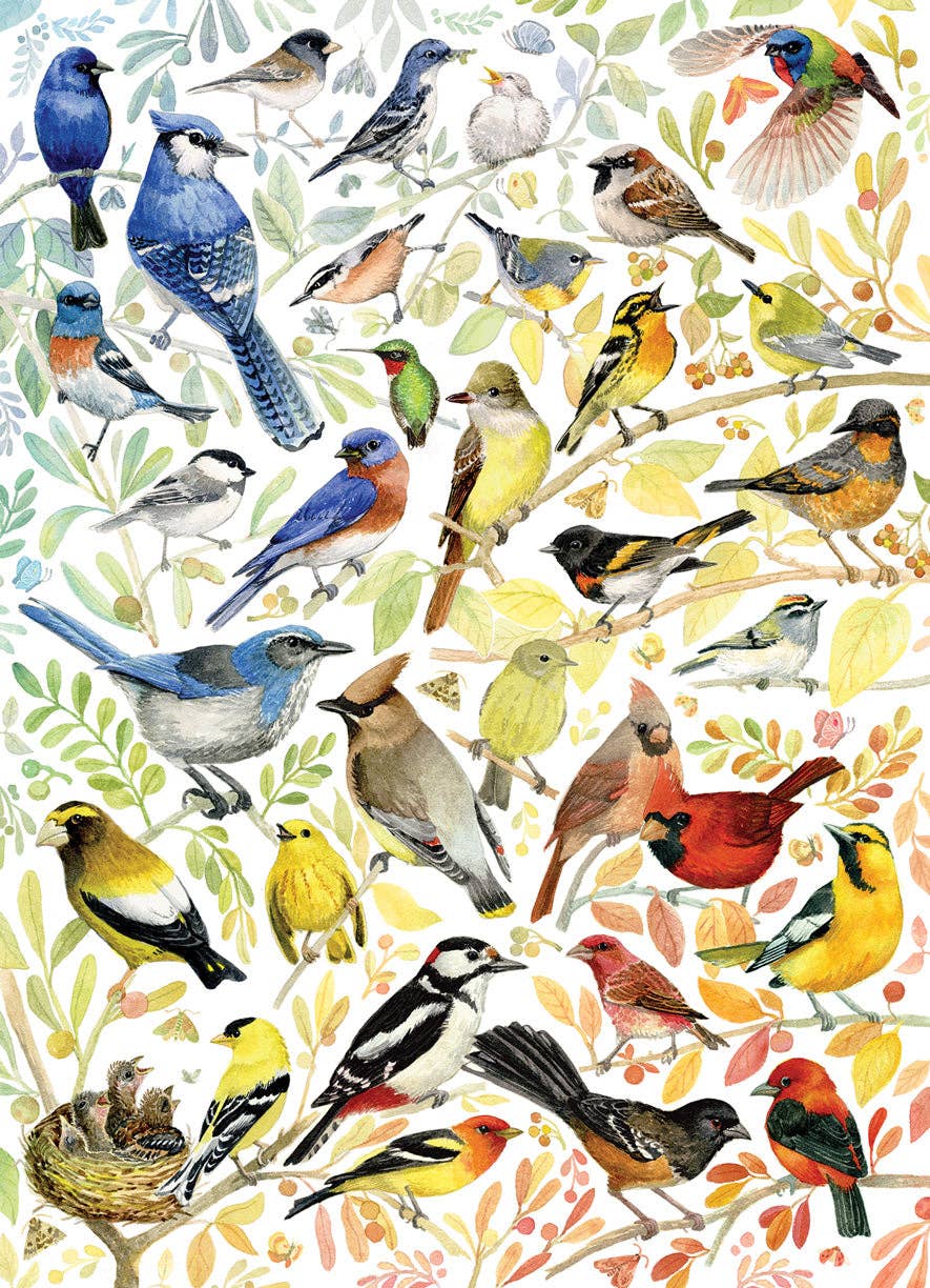 Birds of North America – 1000 Piece Jigsaw Puzzle
