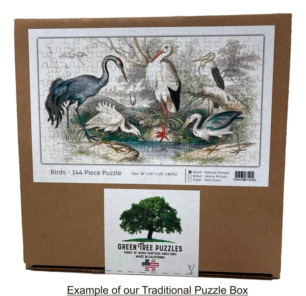 The Kittens Recital - 160 Piece Jigsaw Puzzle