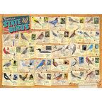 American State Birds - 1000 Piece Jigsaw Puzzle
