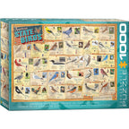 American State Birds - 1000 Piece Jigsaw Puzzle