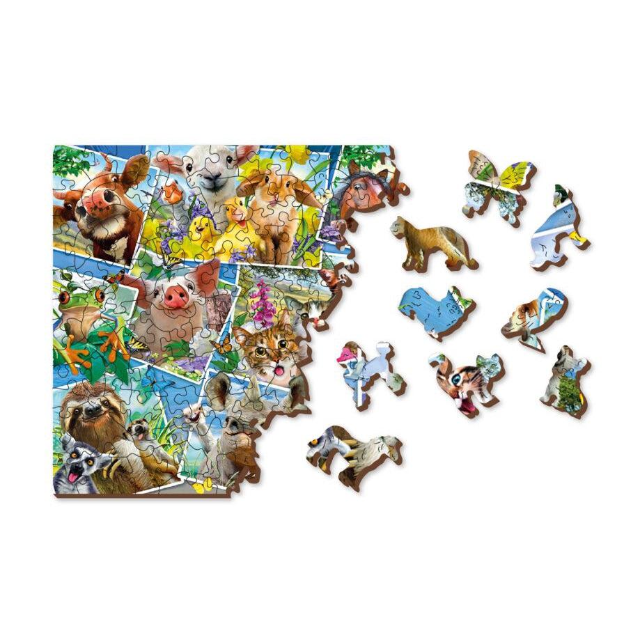 Animal Postcards - 505 Piece Wood Jigsaw Puzzle