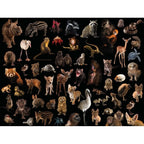 National Geographic Baby Animals - 500 Piece Jigsaw Puzzle