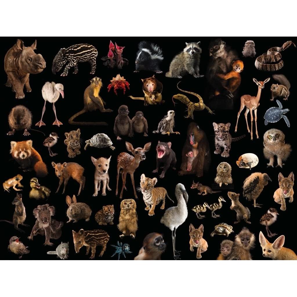 National Geographic Baby Animals - 500 Piece Jigsaw Puzzle