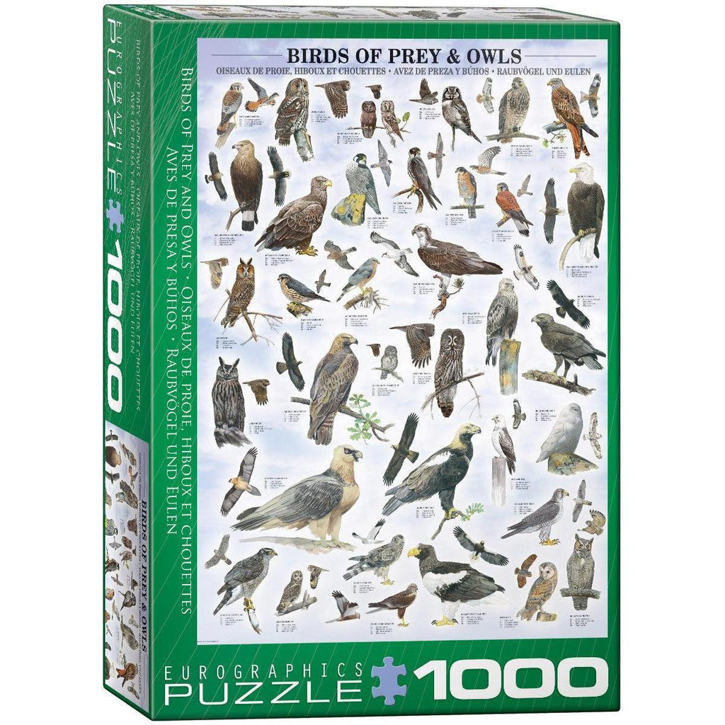 Birds of Prey & Owls - 1000 Piece Jigsaw Puzzle
