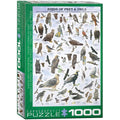 Birds of Prey & Owls - 1000 Piece Jigsaw Puzzle