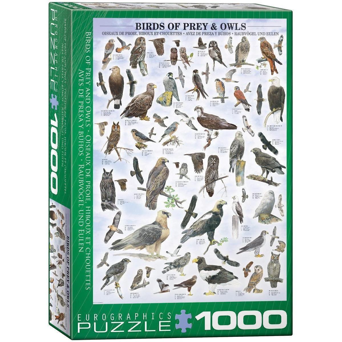 Birds of Prey & Owls - 1000 Piece Jigsaw Puzzle