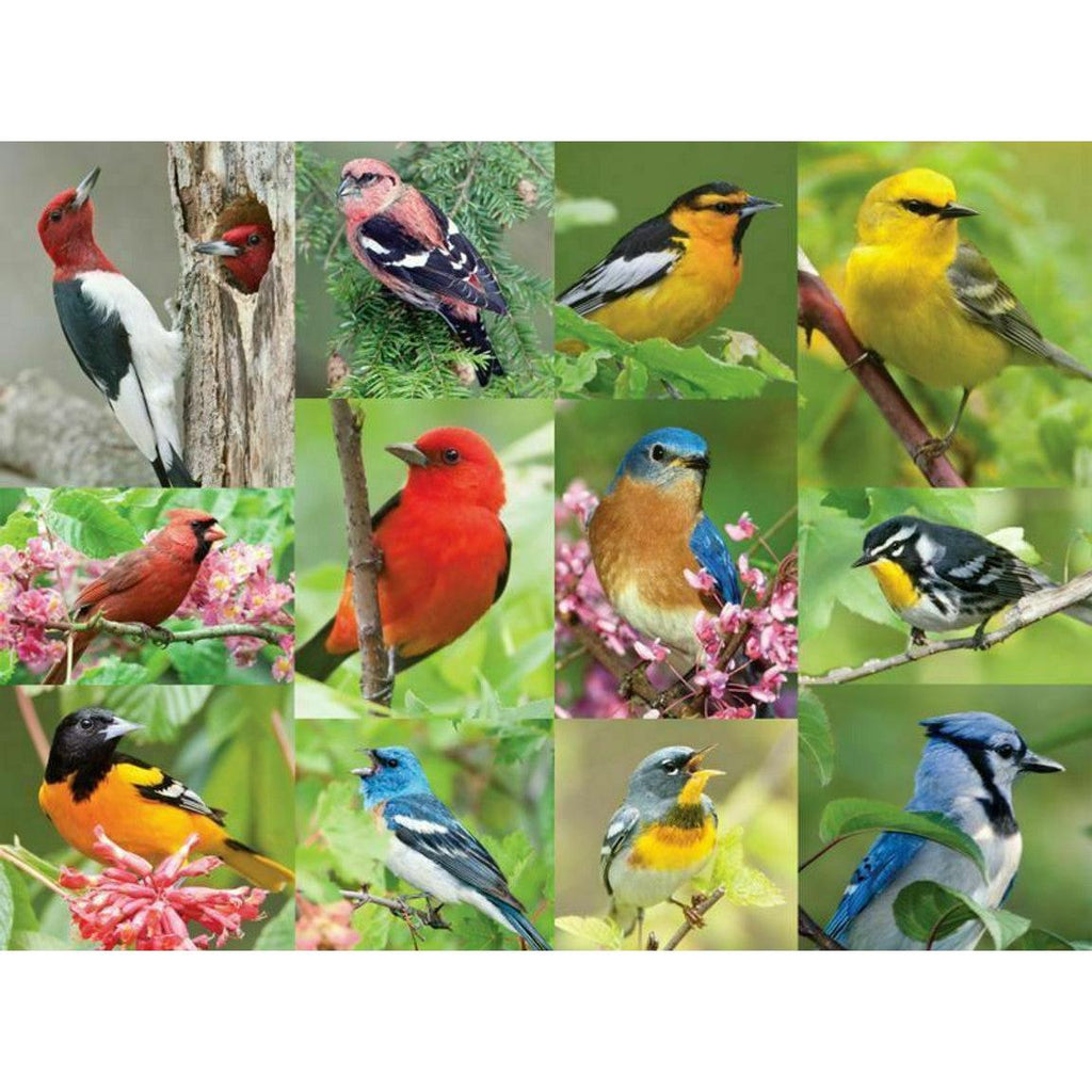 Birds of a Feather - 500 Piece Jigsaw Puzzle