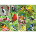 Birds of a Feather - 500 Piece Jigsaw Puzzle