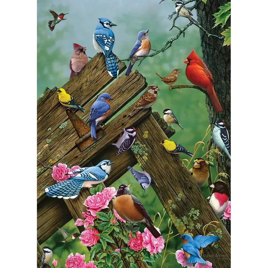 Birds of the Forest – 1000 Piece Puzzle