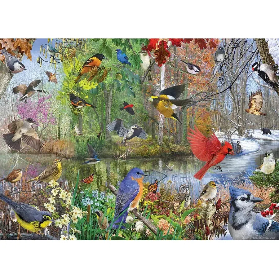 Birds of the Season – 1000 Piece Puzzle