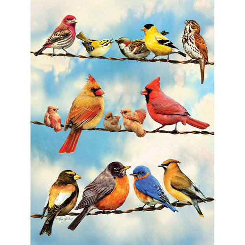 Birds on a Wire - 500 Piece Jigsaw Puzzle
