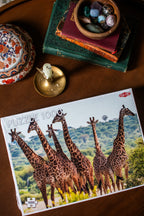 Giraffe Family - 1000 Piece Jigsaw Puzzle