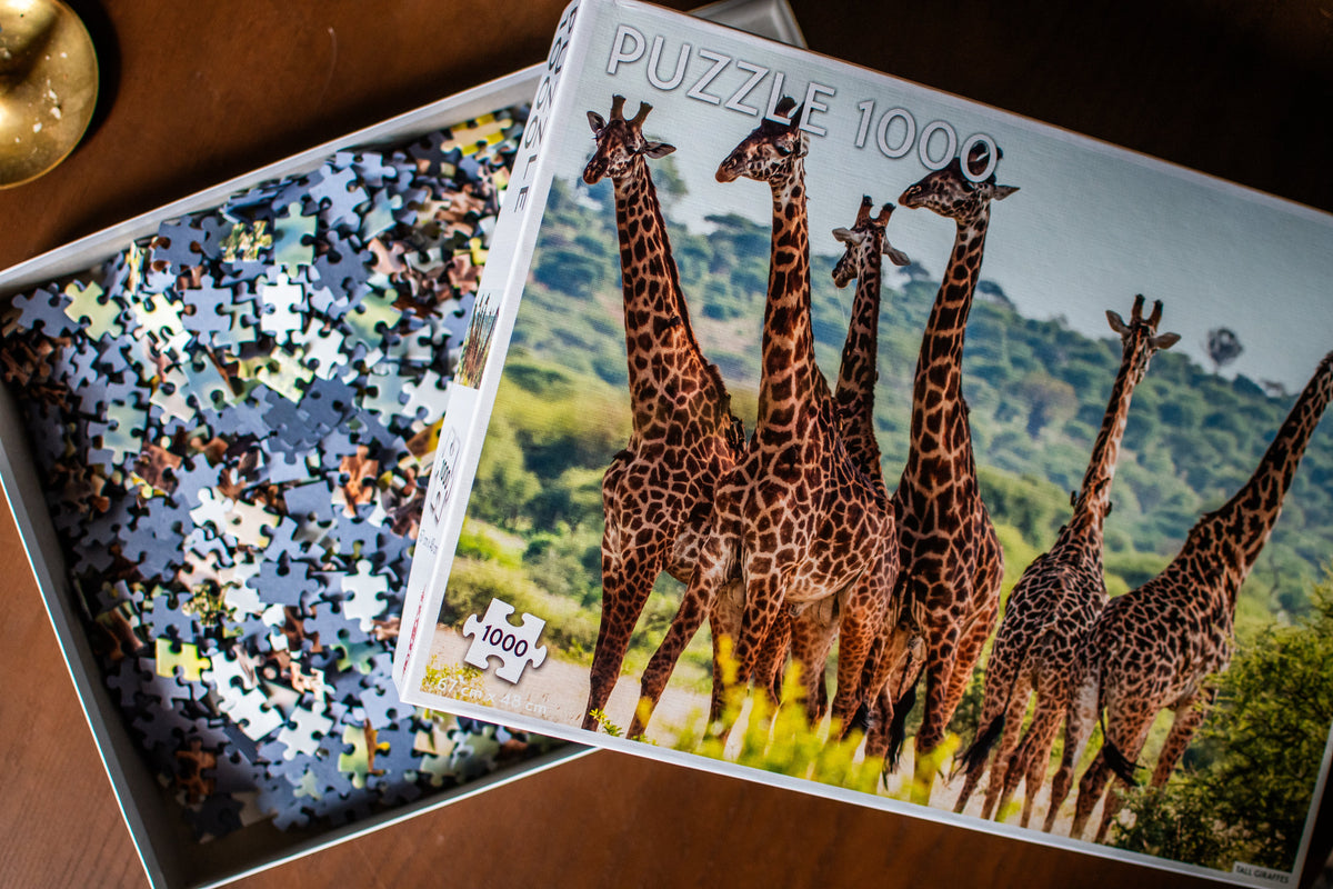 Giraffe Family - 1000 Piece Jigsaw Puzzle