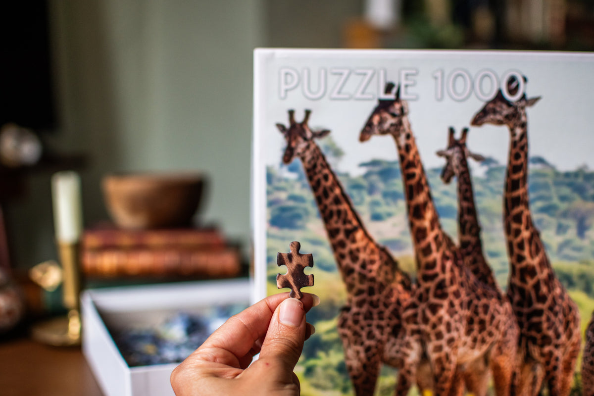 Giraffe Family - 1000 Piece Jigsaw Puzzle