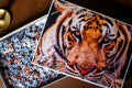 Majestic Tiger Portrait - 1000 Piece Jigsaw Puzzle