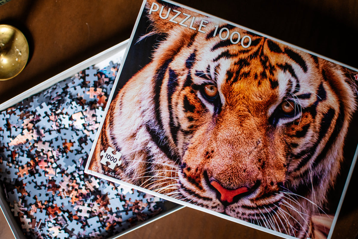 Majestic Tiger Portrait - 1000 Piece Jigsaw Puzzle