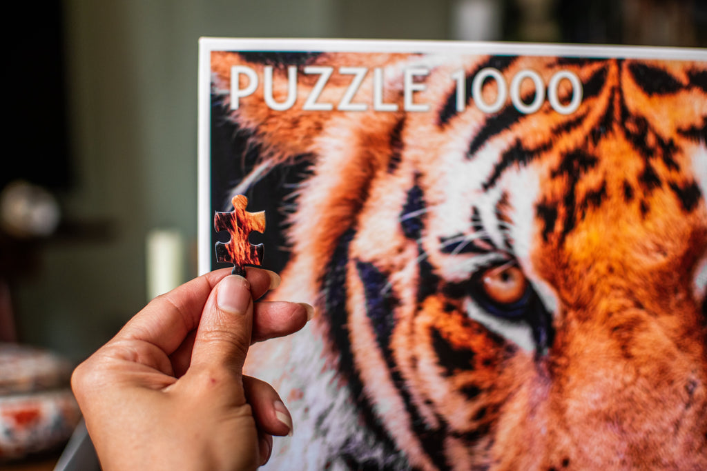 Majestic Tiger Portrait - 1000 Piece Jigsaw Puzzle