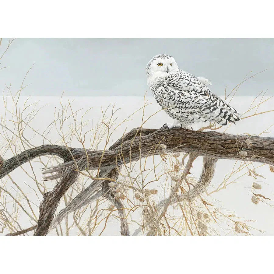 Fallen Willow Snowy Owl – 500 Piece Puzzle