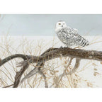 Fallen Willow Snowy Owl – 500 Piece Puzzle