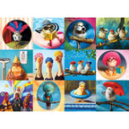 Funny Birds - 1000 Piece Jigsaw Puzzle