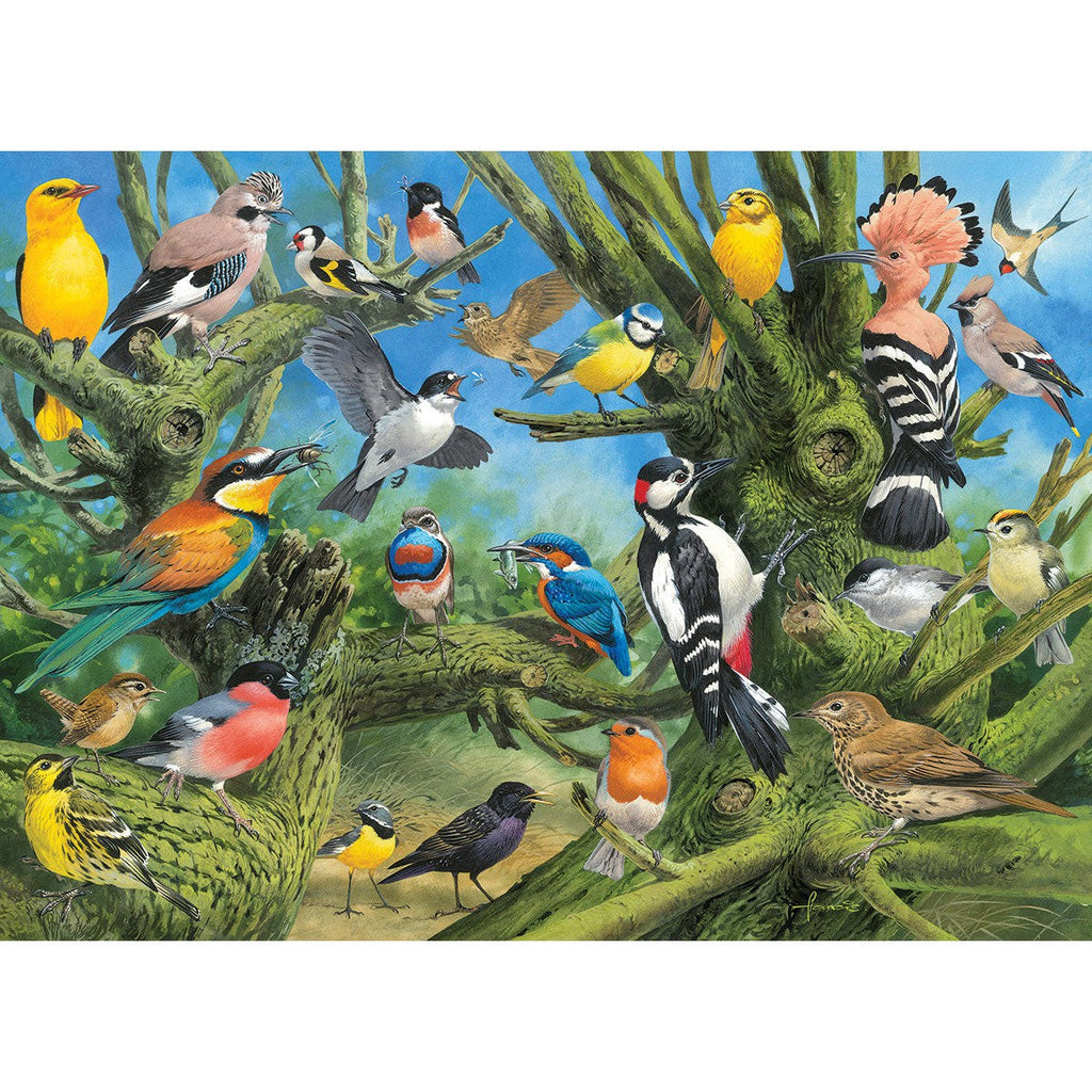 Garden Birds - 1000 Piece Jigsaw Puzzle