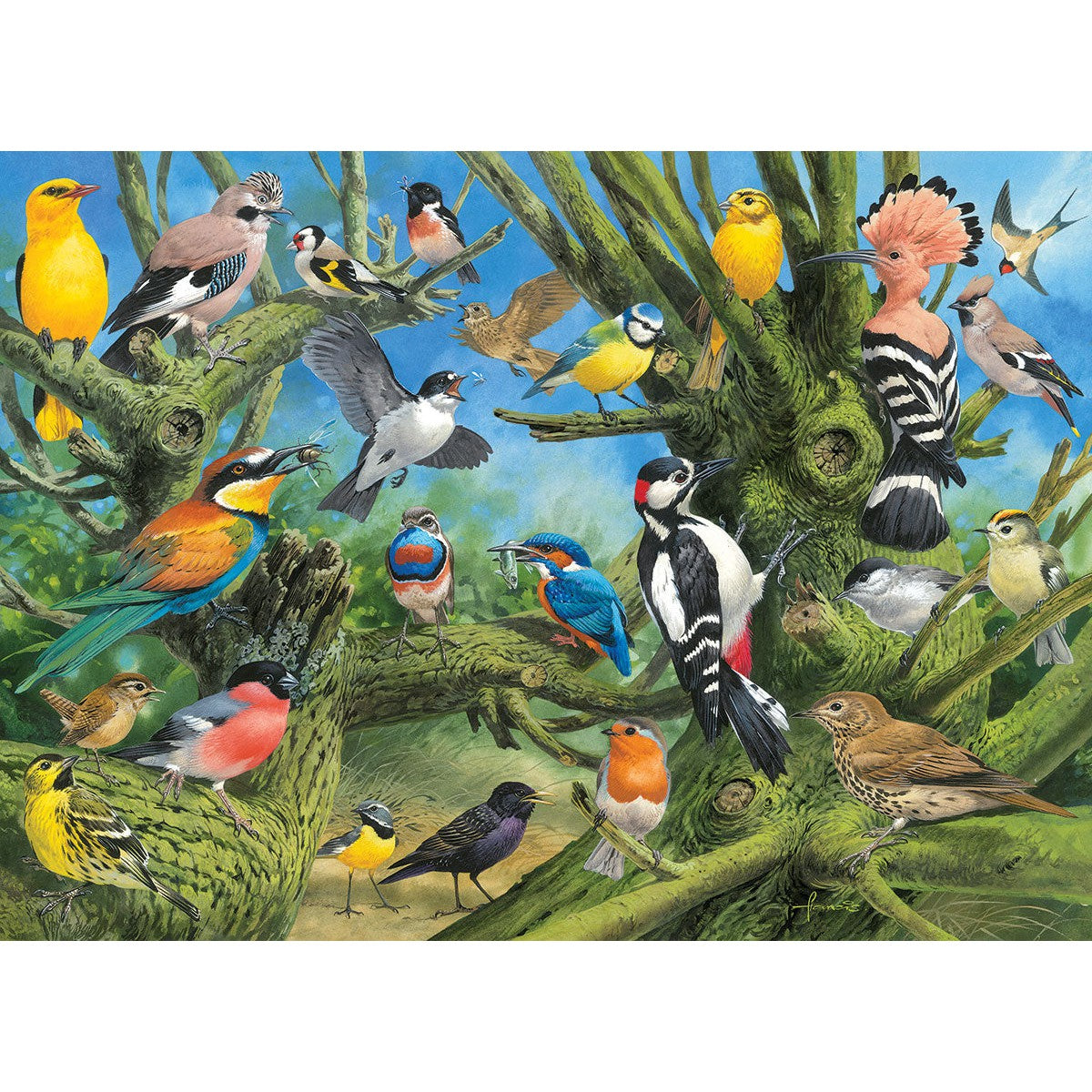 Garden Birds - 1000 Piece Jigsaw Puzzle