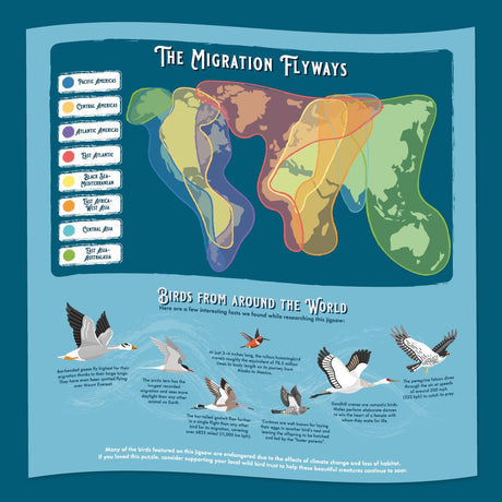 Bird Lover's – 1000 Piece Puzzle