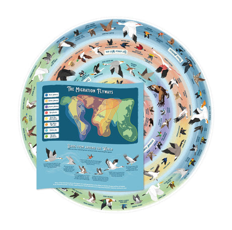 Bird Lover's – 1000 Piece Puzzle