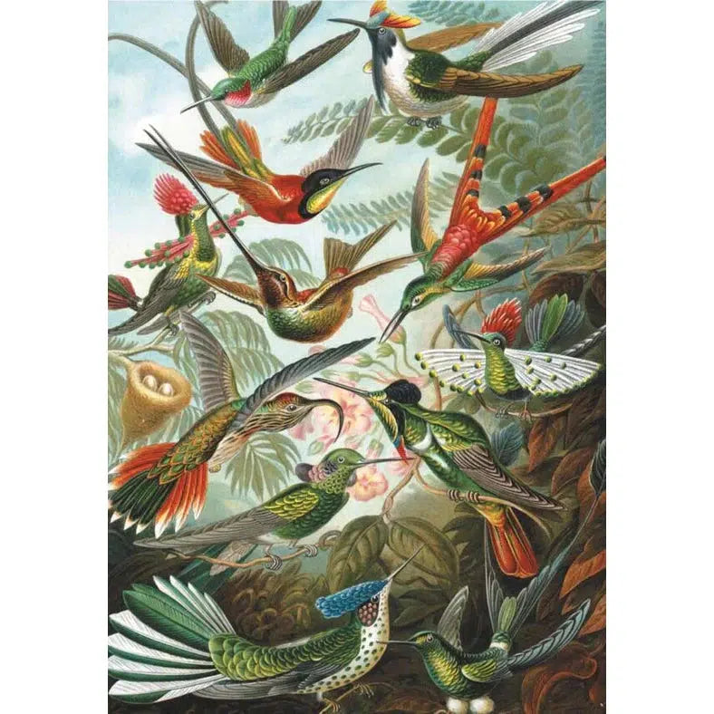 Hummingbirds - 1000 Piece Jigsaw Puzzle
