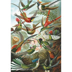 Hummingbirds - 1000 Piece Jigsaw Puzzle