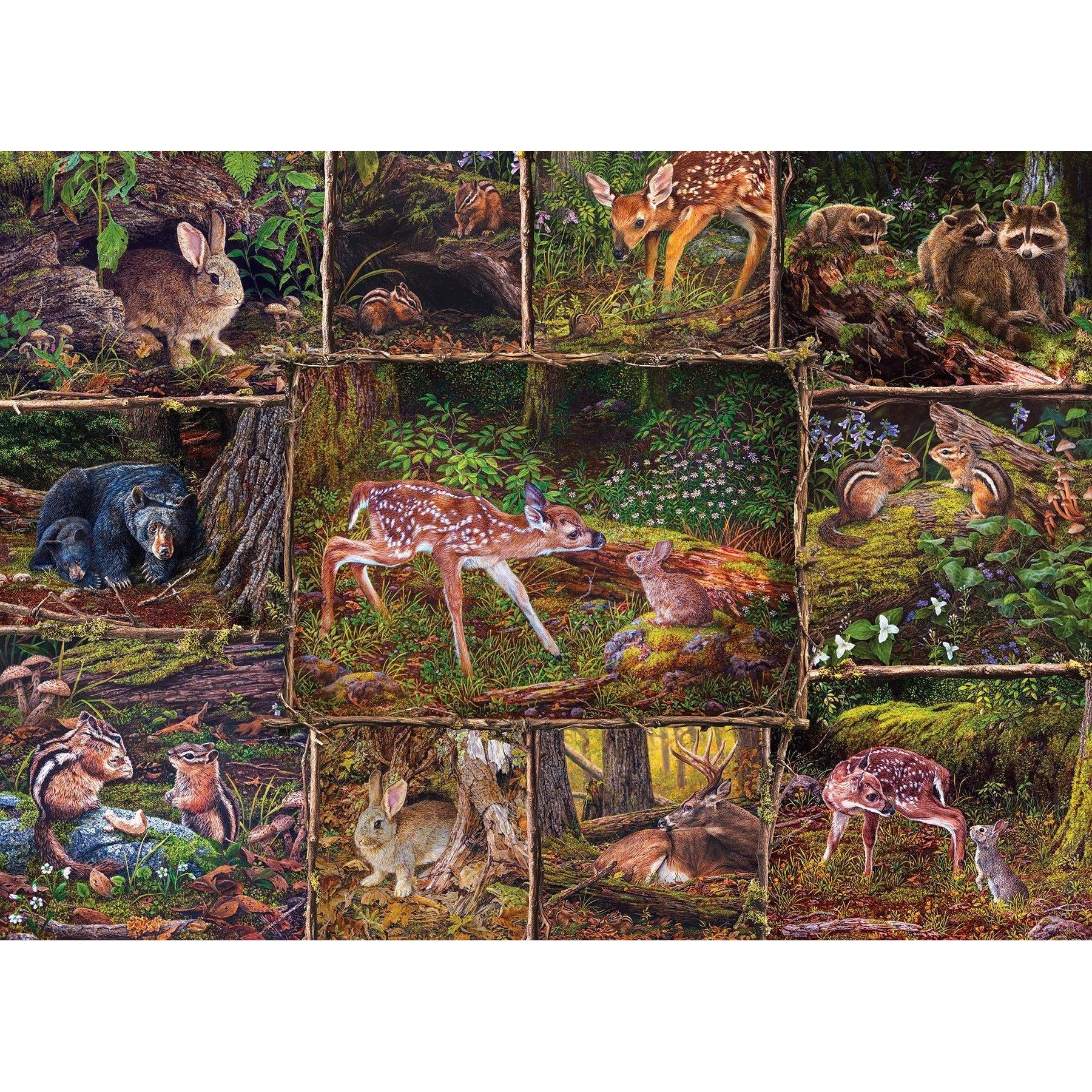 Into the Woods – 350 Piece Jigsaw Puzzle