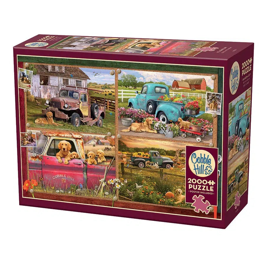It's a Dog's Life – 2000 Piece Dog Puzzle for Adults