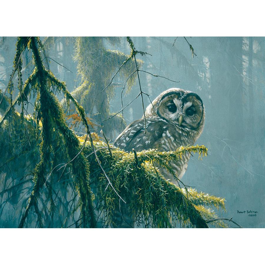Mossy Branches Spotted Owl – 500 Piece Puzzle