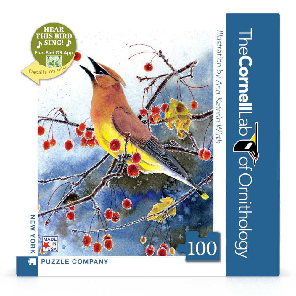 Cedar Waxwing Mini