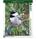Black-capped Chickadee