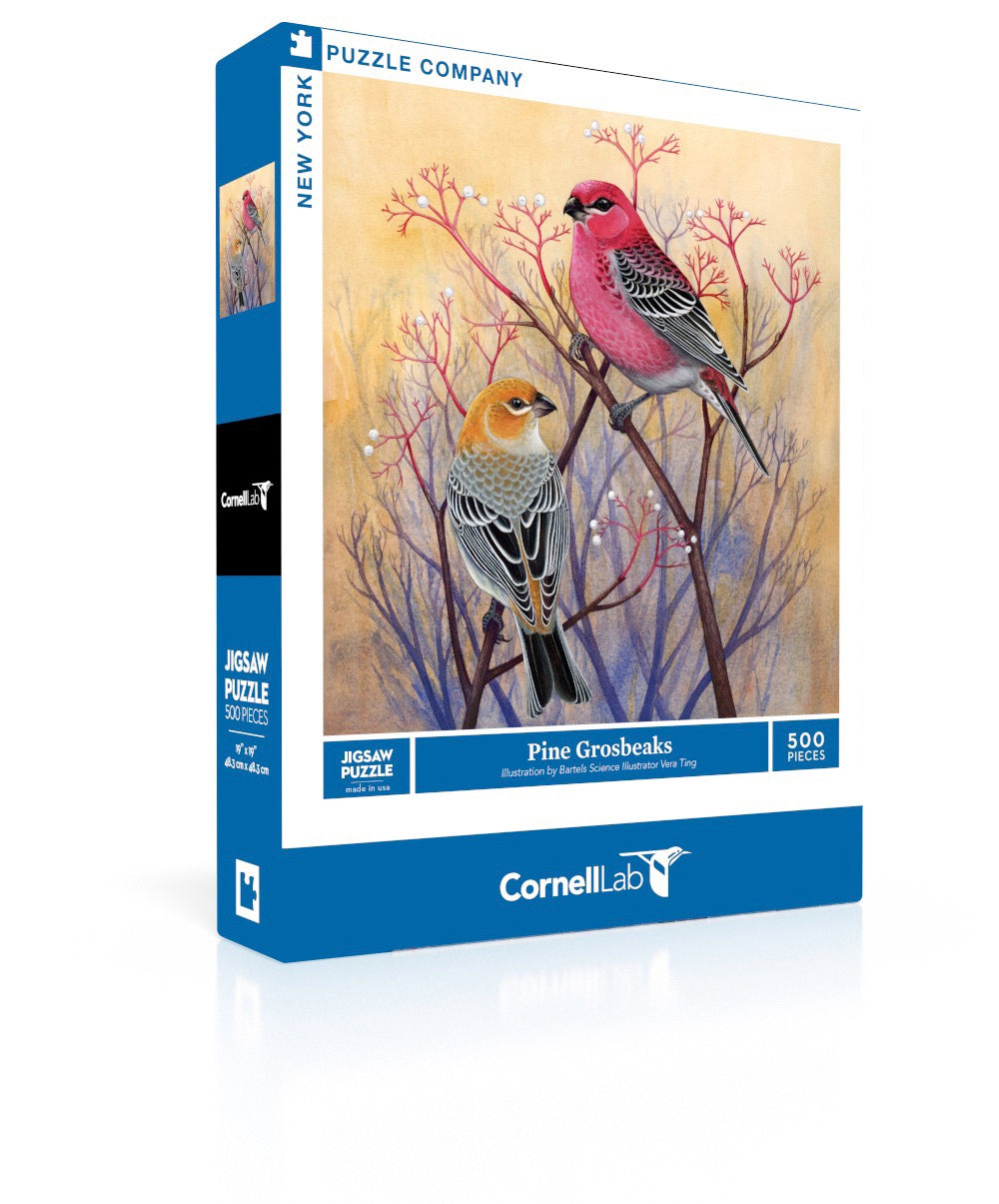 Pine Grosbeaks