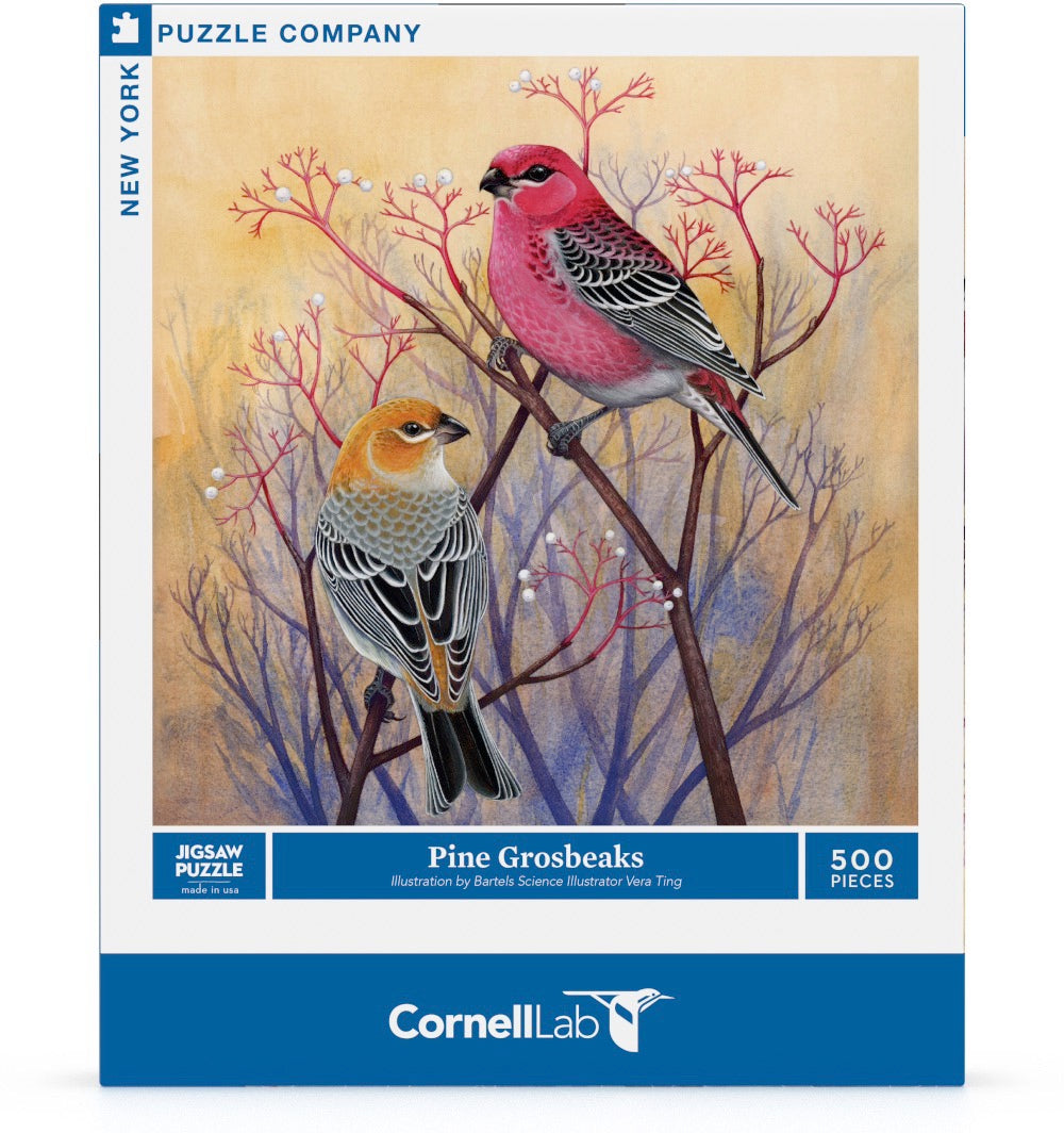 Pine Grosbeaks