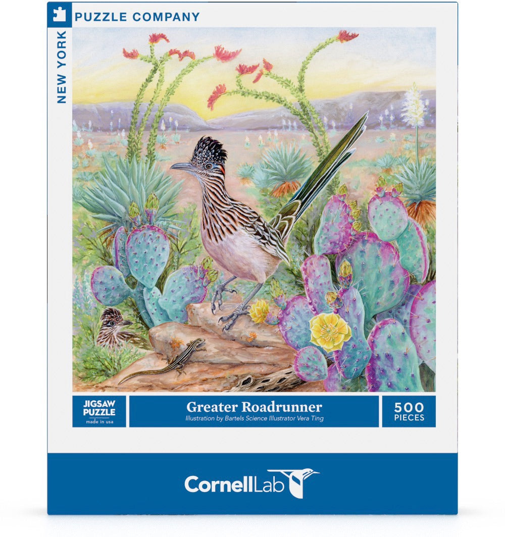 Greater Roadrunner