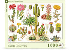 Cacti & Cactus – 1000 Piece Jigsaw Puzzle